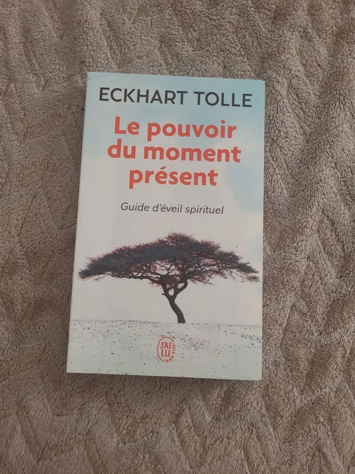 Livre le pouvoir du moment présent