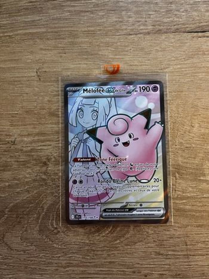 Mélofée ex de Lilie 173/159 et Mélofée ex de Lilie 184/159 - photo numéro 7