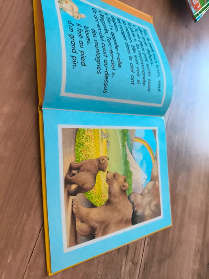 Le trésor de l'ours Tim - photo numéro 2