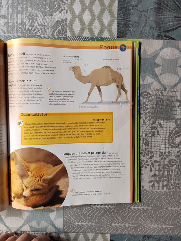 Livre Savoir actuel- Les animaux du monde - photo numéro 9