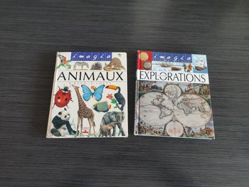 Lot de 2 livres Imagia découverte du monde