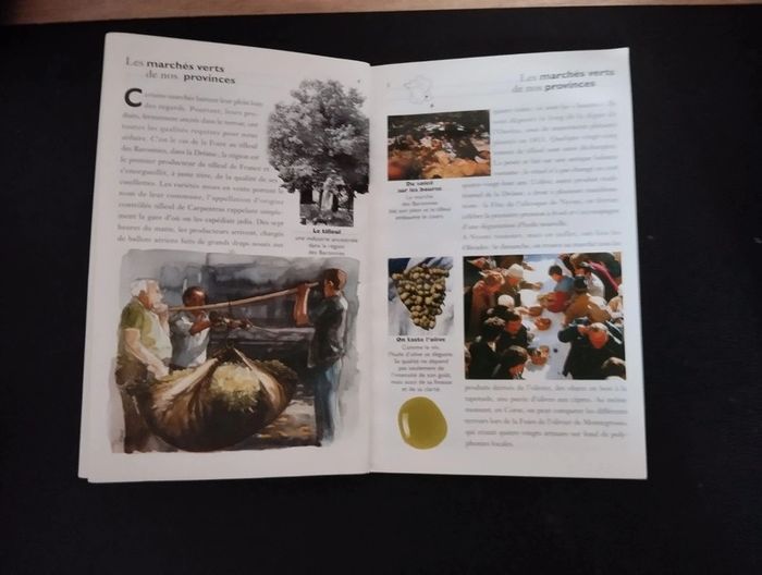 Lot de 2 livres guides Galimard - photo numéro 4