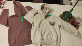 2 sweats à capuche