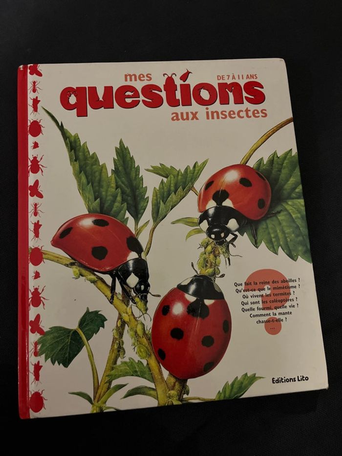 Livre pour enfants mes questions aux insectes