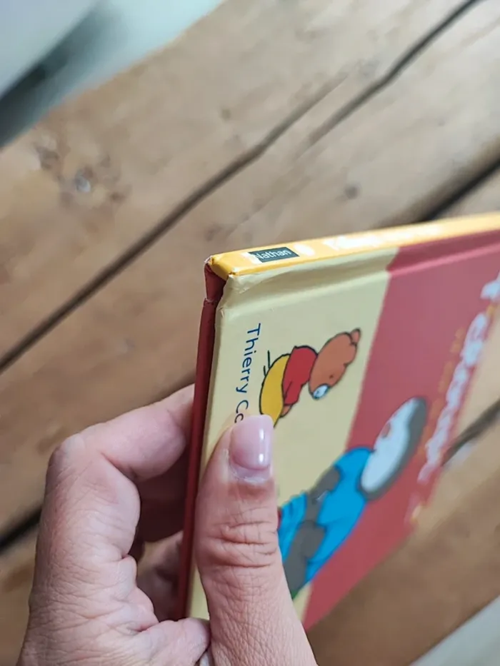 Livre T'choupi - photo numéro 3