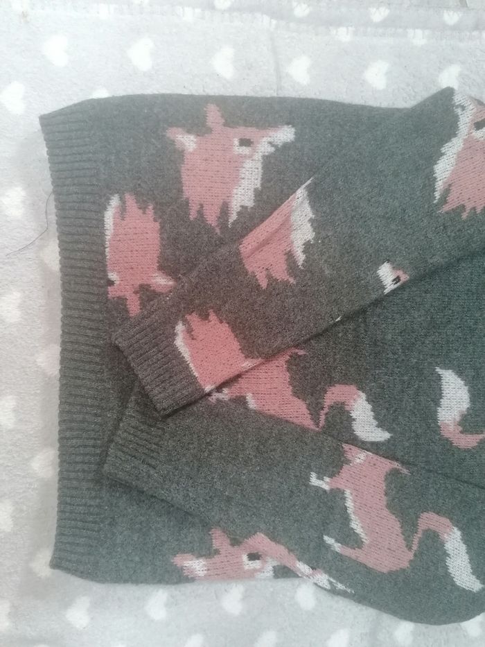 Pull 🦊 garçon 12 ans - photo numéro 3