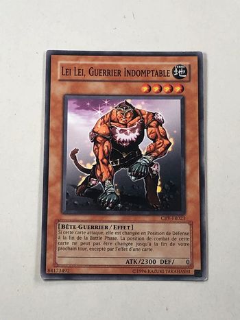 Lei Lei guerrier indomptable
