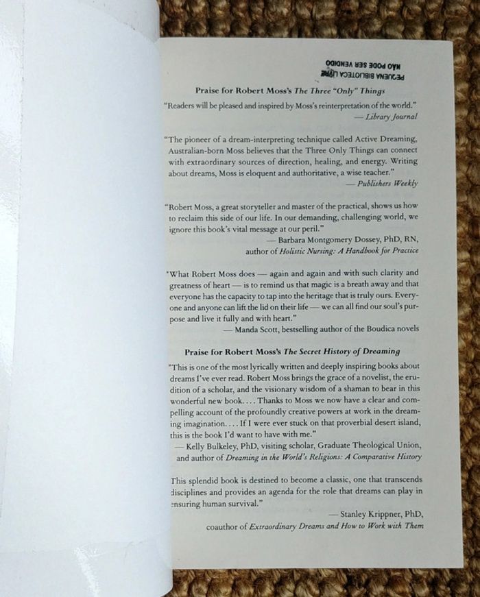 Dreamgates de Robert Moss (2010) - photo numéro 5