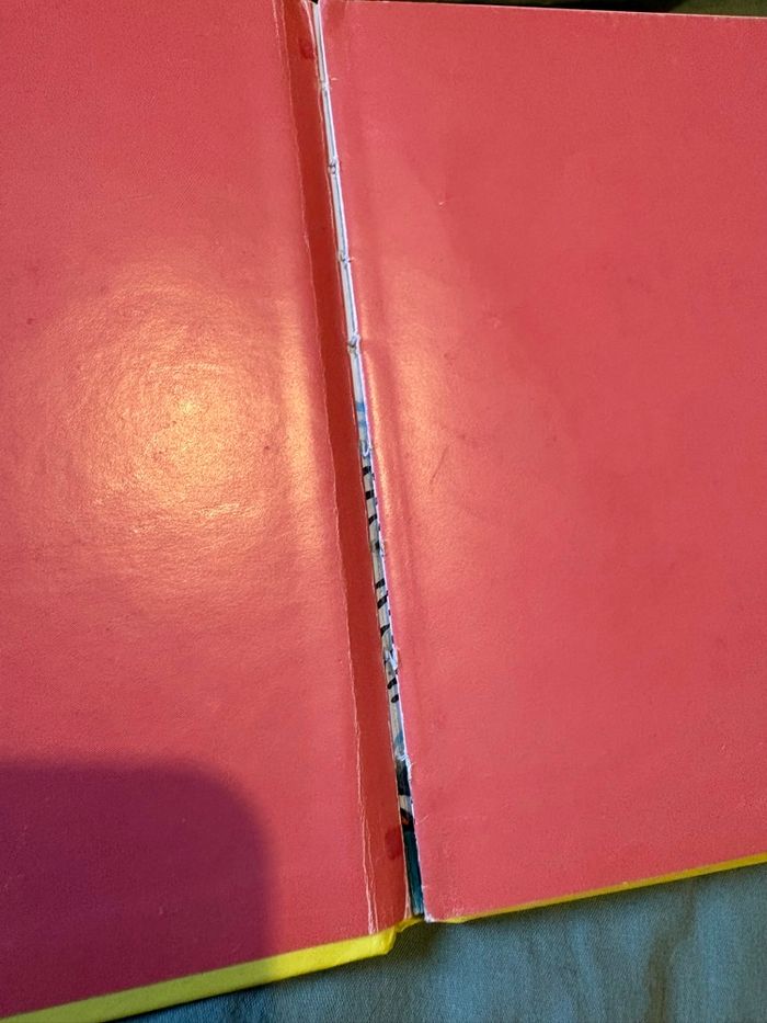 Didou aime faire des bêtises - photo numéro 3