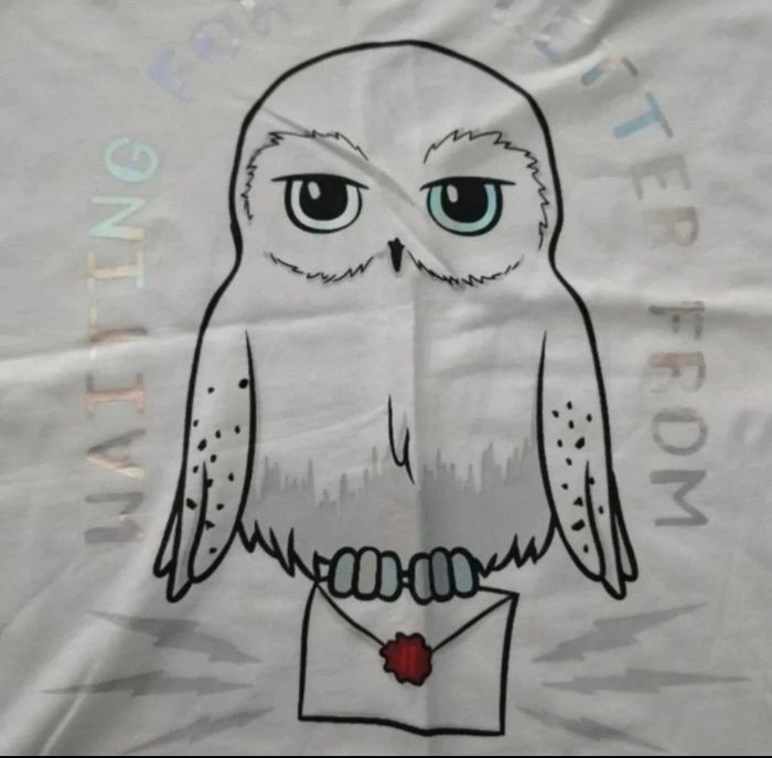 Tee shirt 13/14 ans - photo numéro 3