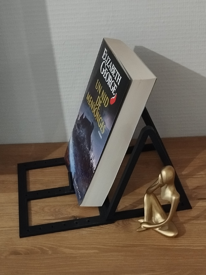 Roman Un nid de mensonges de Elizabeth George - photo numéro 3