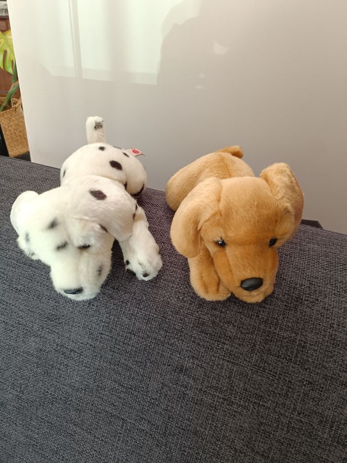 Lot de deux chiots - photo numéro 3