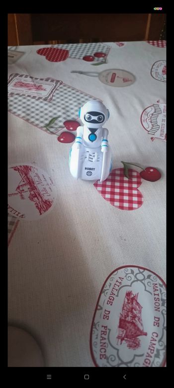 Robot