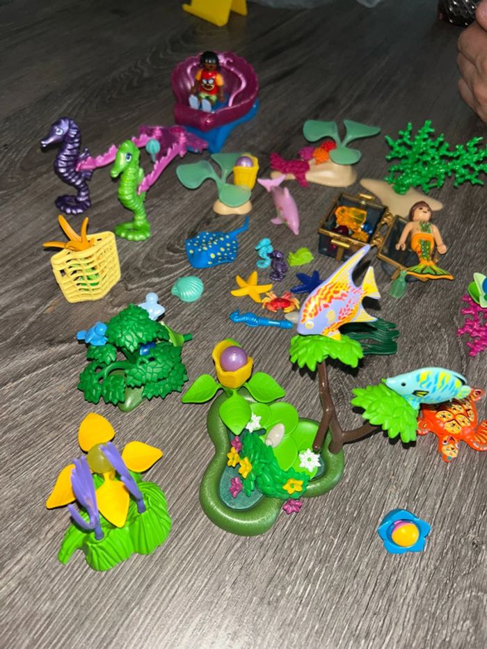 Char de princesse Playmobil avec accessoires - photo numéro 6