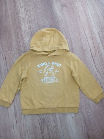Sweat a capuche Dinosaure 