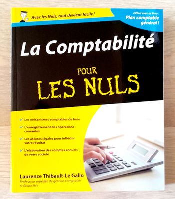 la comptabilité pour les nuls + plan comptable général