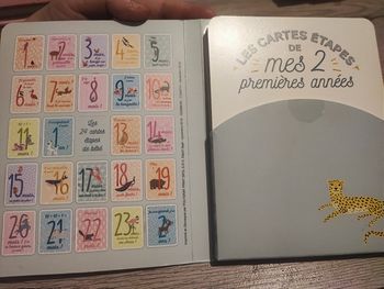 Cartes "mes 24 premiers mois"