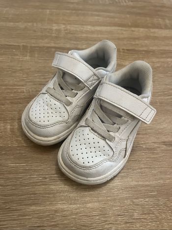 Basket puma