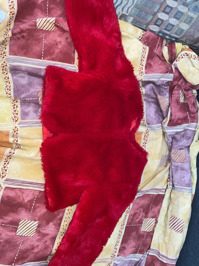 Tenue de fêtes - photo numéro 6