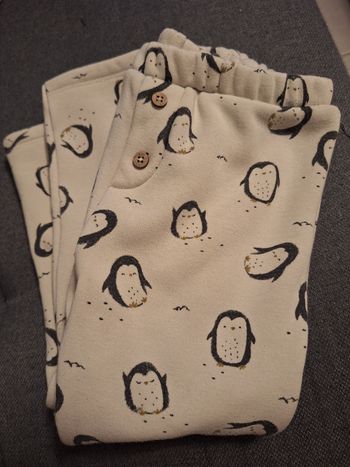 Pantalon pingouin 🐧