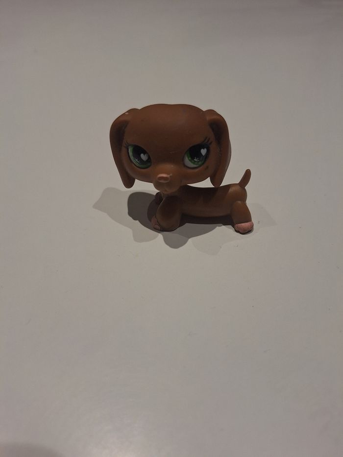 Petshop teckel marron