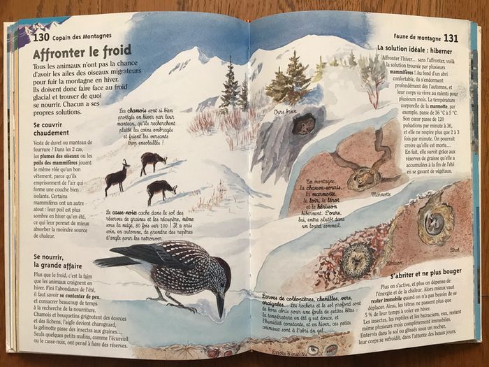 Copain des montagnes - 1ère édition - photo numéro 5