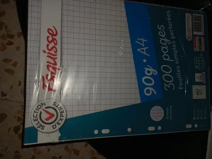 Lot entier de feuilles classeur