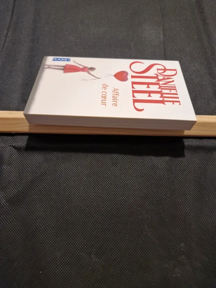 Affaire de coeur - Danielle Steel - photo numéro 3