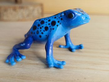 Bullyland grenouille venimeuse Figurine Animal de l'équateur