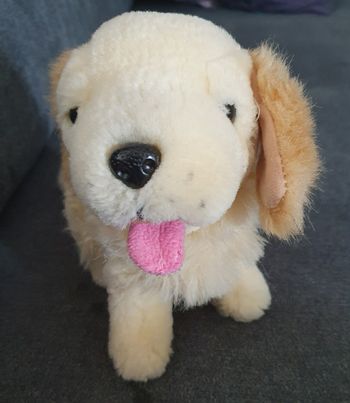 Peluche chien