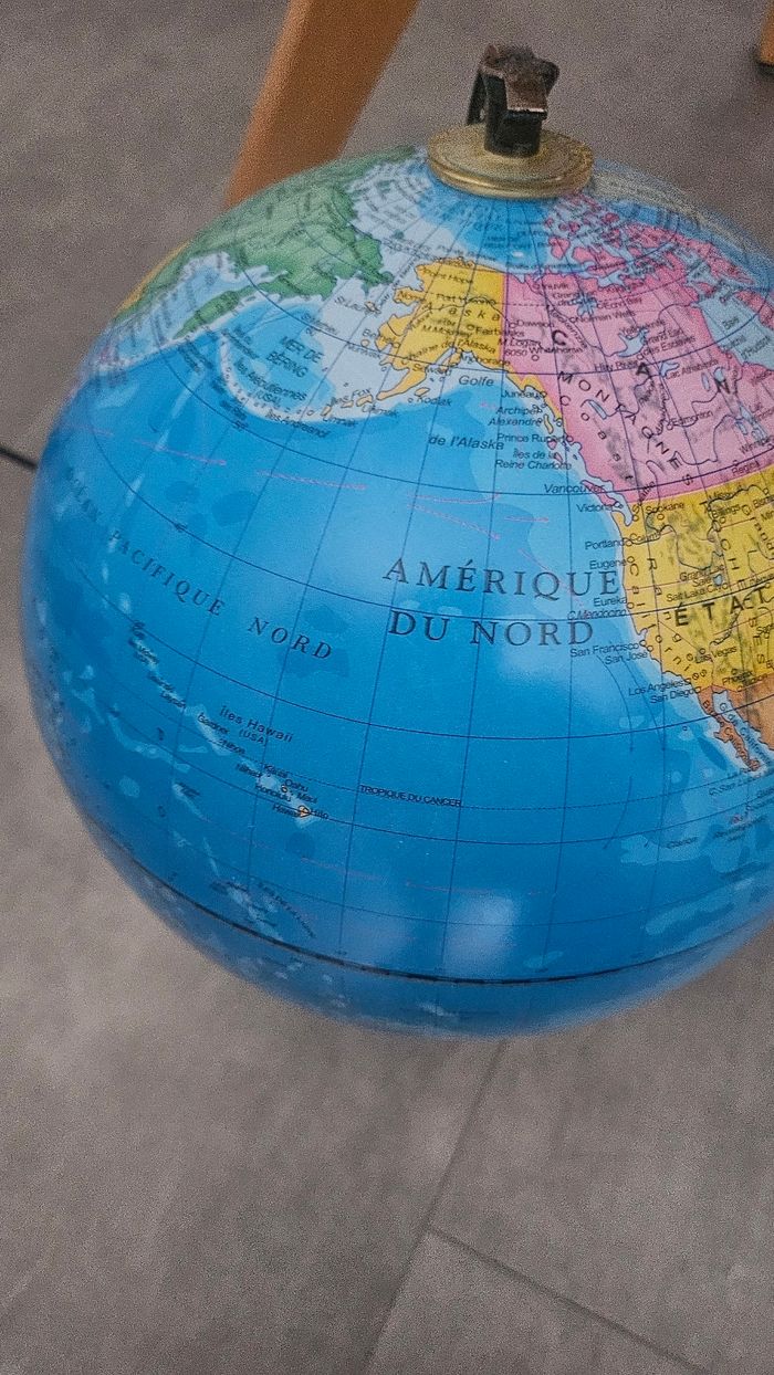 Globe map monde - photo numéro 6