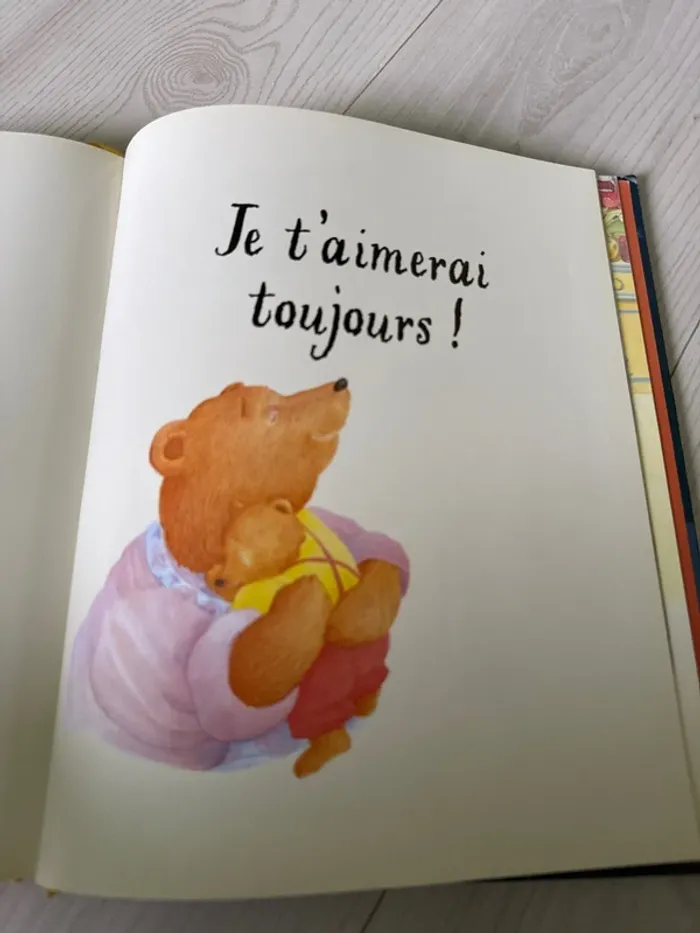 Grand livre enfant ours - photo numéro 8