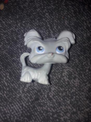 Petshop  chien  hasbro