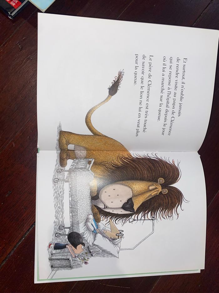 Livre les lions ne mangent pas de croquettes - photo numéro 3
