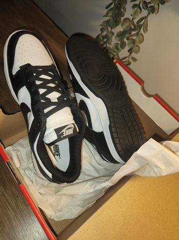 Nike dunk low