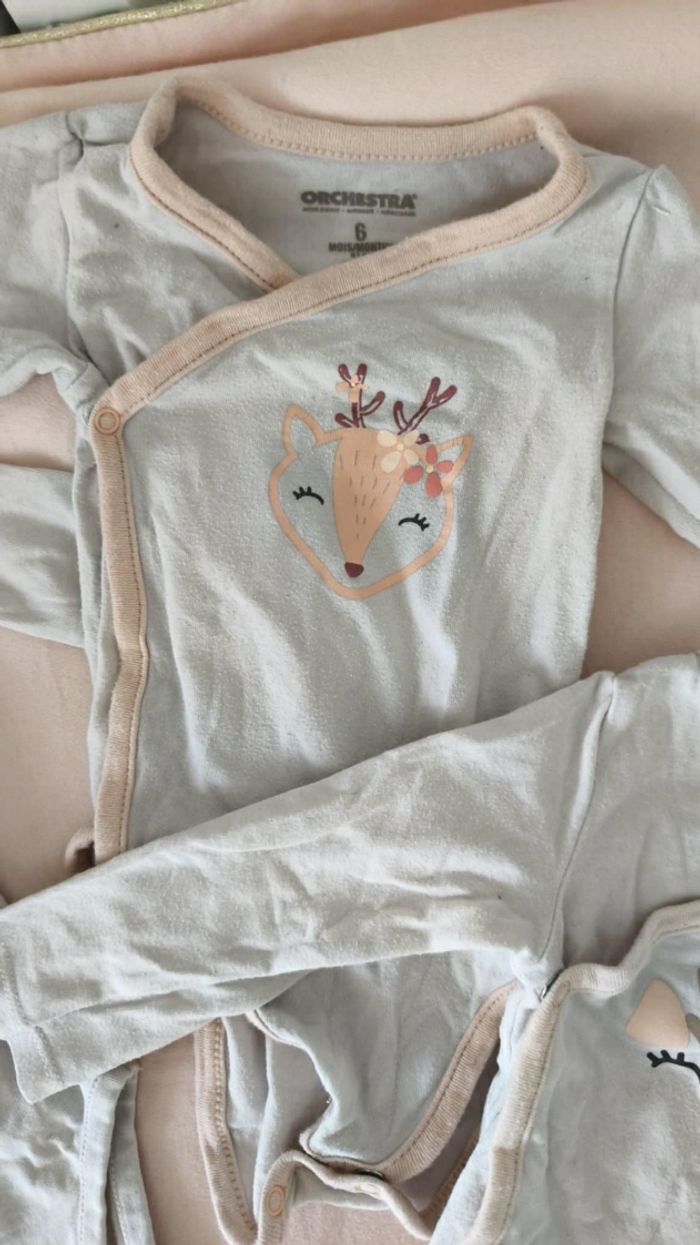 Lot de bodies 6mois - photo numéro 2