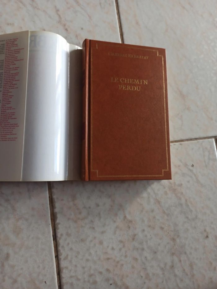 Le chemin perdu - photo numéro 3