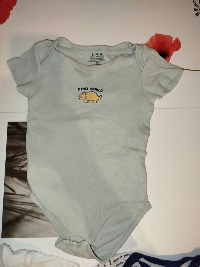 Lot body - photo numéro 4