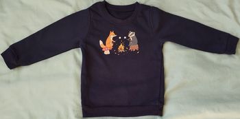 Sweat garçon (taille 2 ans ) en très bon état