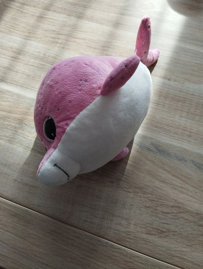 Dauphin 🐬 - photo numéro 3