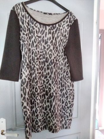Robe zèbre avec manches  3 quart