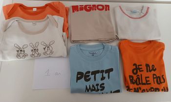 Lot T-shirt et bodys 1 an