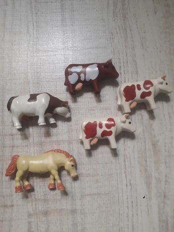 Lot vaches et un cheval