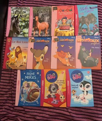 11 livres bibliothèque rose