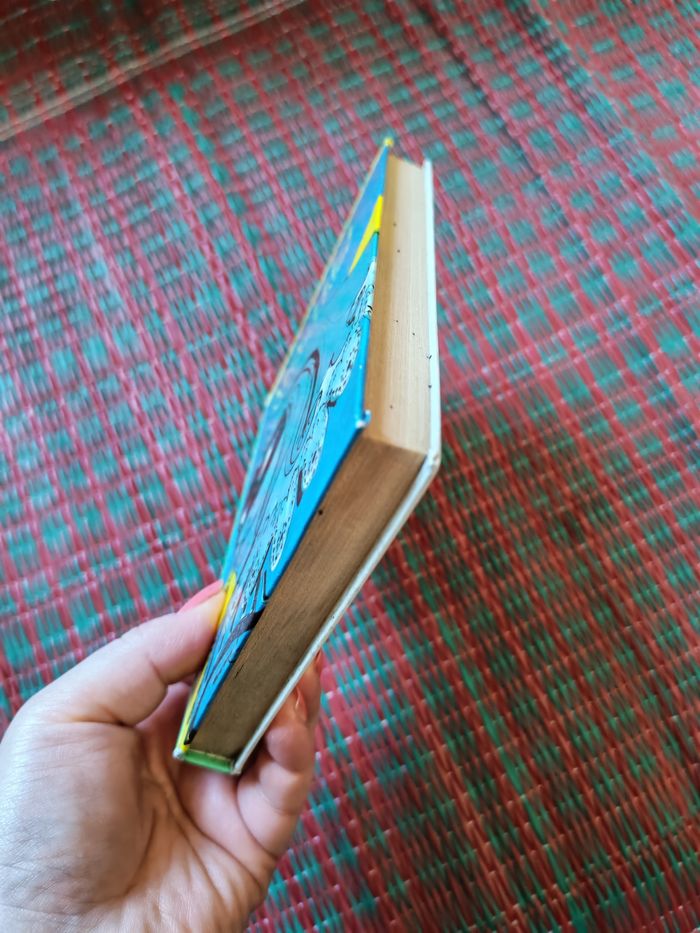 Bibliothèque Verte, Michel Mousquetaire, livre de Georges Bayard - photo numéro 5