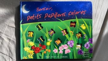 Bonsoir, petit papillons colorés