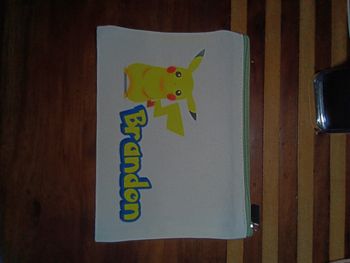 Pochette pokemon