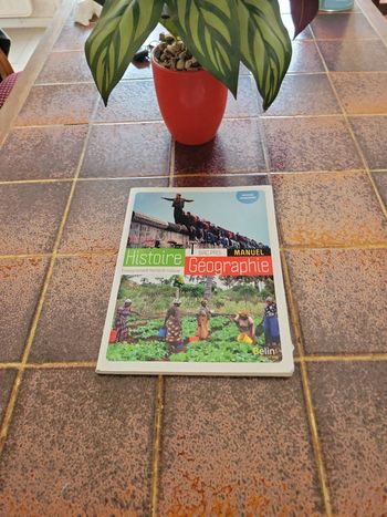 Histoire géographie- Emc Tle bac pro manuel