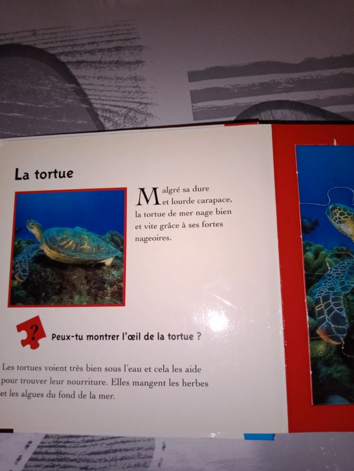 Livre puzzles - photo numéro 2