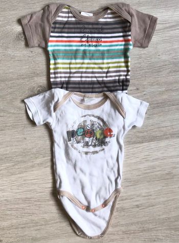 2 bodies 3 mois (absorba)